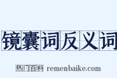 镜囊词反义词是什么意思的图片